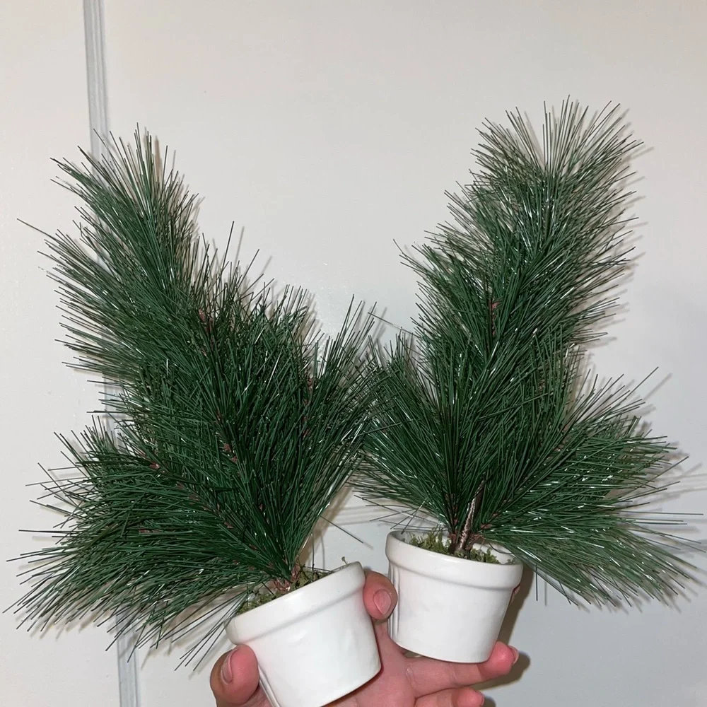 2 Target Table Top Small tree